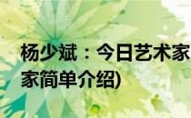 杨少斌：今日艺术家(对于杨少斌：今日艺术家简单介绍)