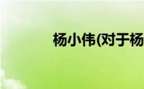 杨小伟(对于杨小伟简单介绍)