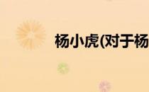 杨小虎(对于杨小虎简单介绍)