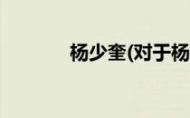 杨少奎(对于杨少奎简单介绍)
