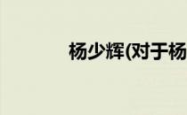 杨少辉(对于杨少辉简单介绍)