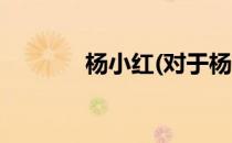 杨小红(对于杨小红简单介绍)