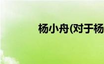 杨小舟(对于杨小舟简单介绍)
