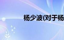 杨少波(对于杨少波简单介绍)