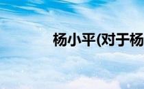 杨小平(对于杨小平简单介绍)