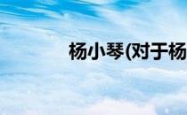 杨小琴(对于杨小琴简单介绍)