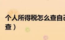 个人所得税怎么查自己工资（个人所得税怎么查）