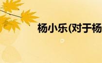 杨小乐(对于杨小乐简单介绍)