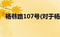 杨巷路107号(对于杨巷路107号简单介绍)