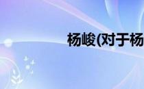 杨峻(对于杨峻简单介绍)