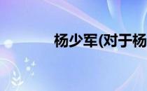 杨少军(对于杨少军简单介绍)