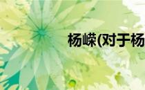杨嵘(对于杨嵘简单介绍)