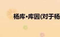 杨库·库因(对于杨库·库因简单介绍)