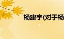 杨建宇(对于杨建宇简单介绍)