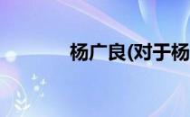 杨广良(对于杨广良简单介绍)