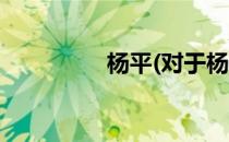 杨平(对于杨平简单介绍)