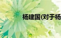 杨建国(对于杨建国简单介绍)