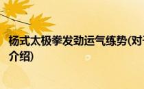 杨式太极拳发劲运气练势(对于杨式太极拳发劲运气练势简单介绍)