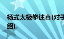 杨式太极拳述真(对于杨式太极拳述真简单介绍)