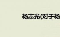 杨志光(对于杨志光简单介绍)