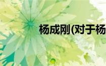 杨成刚(对于杨成刚简单介绍)