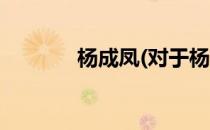 杨成凤(对于杨成凤简单介绍)