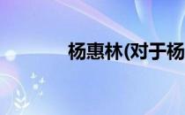 杨惠林(对于杨惠林简单介绍)