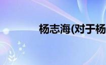 杨志海(对于杨志海简单介绍)