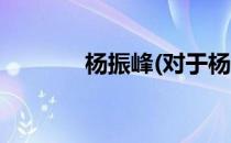 杨振峰(对于杨振峰简单介绍)