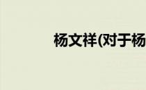 杨文祥(对于杨文祥简单介绍)