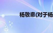 杨敬悳(对于杨敬悳简单介绍)