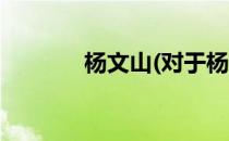 杨文山(对于杨文山简单介绍)