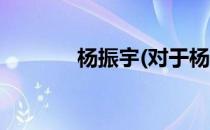 杨振宇(对于杨振宇简单介绍)