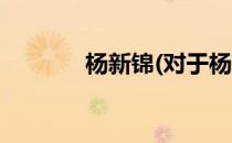 杨新锦(对于杨新锦简单介绍)