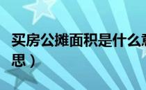 买房公摊面积是什么意思（公摊面积是什么意思）