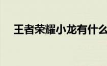 王者荣耀小龙有什么用（王者荣耀小龙）