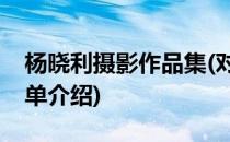 杨晓利摄影作品集(对于杨晓利摄影作品集简单介绍)