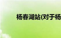 杨春湖站(对于杨春湖站简单介绍)