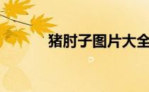 猪肘子图片大全（猪肘子图片）
