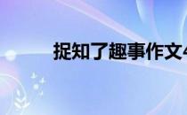 捉知了趣事作文400字（捉知了）
