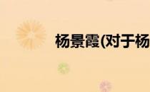 杨景霞(对于杨景霞简单介绍)