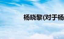 杨晓黎(对于杨晓黎简单介绍)
