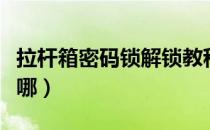 拉杆箱密码锁解锁教程（行李箱密码复位孔在哪）