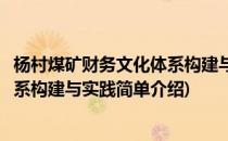 杨村煤矿财务文化体系构建与实践(对于杨村煤矿财务文化体系构建与实践简单介绍)