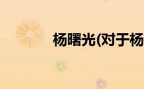 杨曙光(对于杨曙光简单介绍)