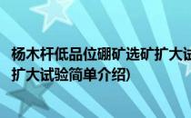 杨木杆低品位硼矿选矿扩大试验(对于杨木杆低品位硼矿选矿扩大试验简单介绍)