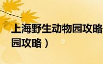 上海野生动物园攻略表2020（上海野生动物园攻略）