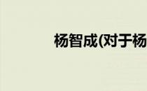 杨智成(对于杨智成简单介绍)
