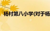 杨村第八小学(对于杨村第八小学简单介绍)