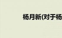 杨月新(对于杨月新简单介绍)